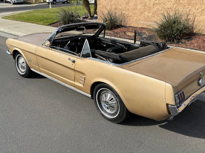 Unknown-Mustang-1966-9