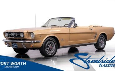 Unknown-Mustang-1966-Antique-Bronze-Palomino-11