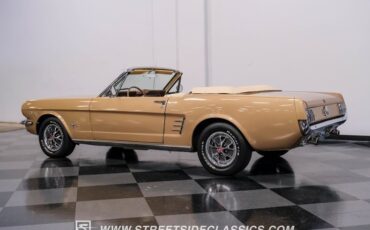 Unknown-Mustang-1966-Antique-Bronze-Palomino-12