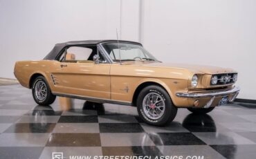 Unknown-Mustang-1966-Antique-Bronze-Palomino-13