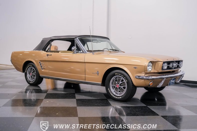 Unknown-Mustang-1966-Antique-Bronze-Palomino-13