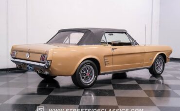 Unknown-Mustang-1966-Antique-Bronze-Palomino-18