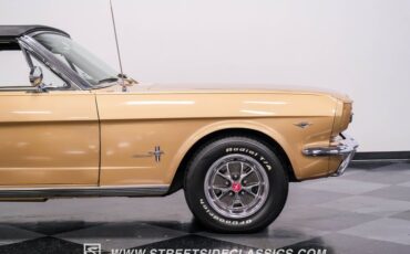 Unknown-Mustang-1966-Antique-Bronze-Palomino-20