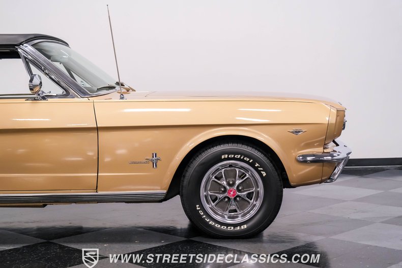Unknown-Mustang-1966-Antique-Bronze-Palomino-20