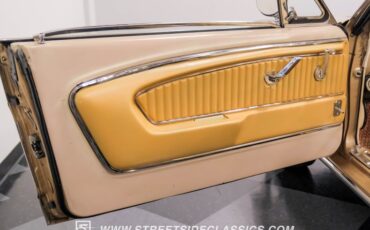 Unknown-Mustang-1966-Antique-Bronze-Palomino-25