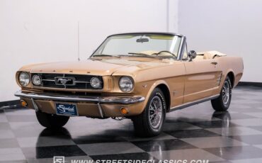Unknown-Mustang-1966-Antique-Bronze-Palomino-3