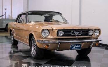 Unknown-Mustang-1966-Antique-Bronze-Palomino-31
