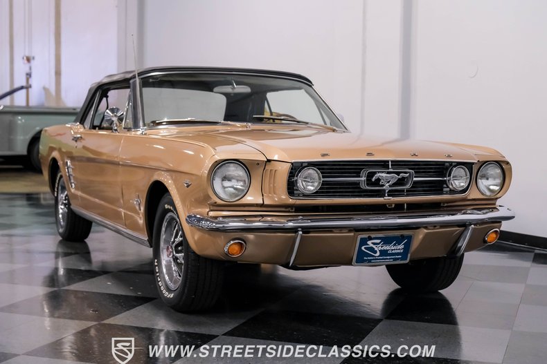 Unknown-Mustang-1966-Antique-Bronze-Palomino-31
