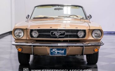 Unknown-Mustang-1966-Antique-Bronze-Palomino-32