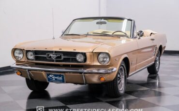Unknown-Mustang-1966-Antique-Bronze-Palomino-33