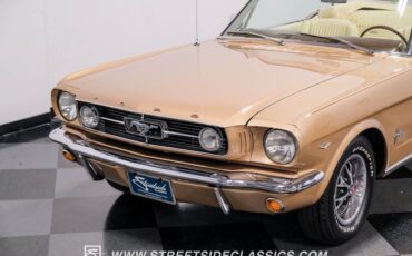 Unknown-Mustang-1966-Antique-Bronze-Palomino-34