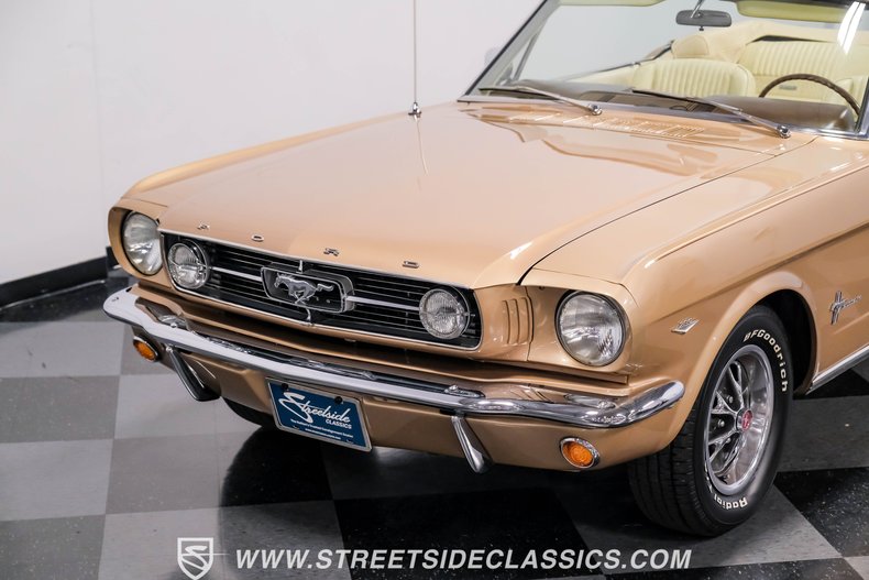 Unknown-Mustang-1966-Antique-Bronze-Palomino-34