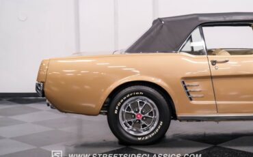Unknown-Mustang-1966-Antique-Bronze-Palomino-38