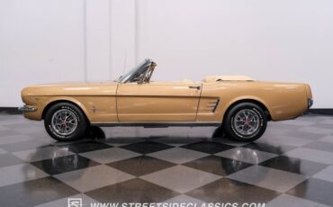 Unknown-Mustang-1966-Antique-Bronze-Palomino-4