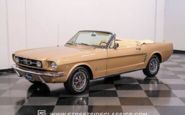Unknown-Mustang-1966-Antique-Bronze-Palomino-41