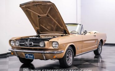Unknown-Mustang-1966-Antique-Bronze-Palomino-42