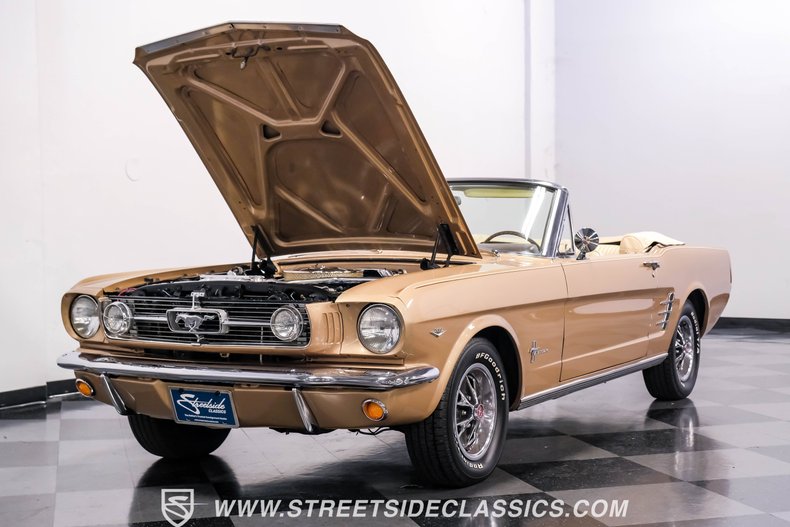Unknown-Mustang-1966-Antique-Bronze-Palomino-42