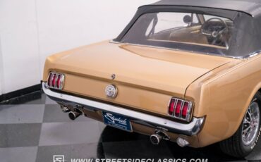 Unknown-Mustang-1966-Antique-Bronze-Palomino-43