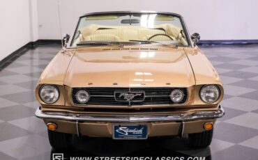 Unknown-Mustang-1966-Antique-Bronze-Palomino-47