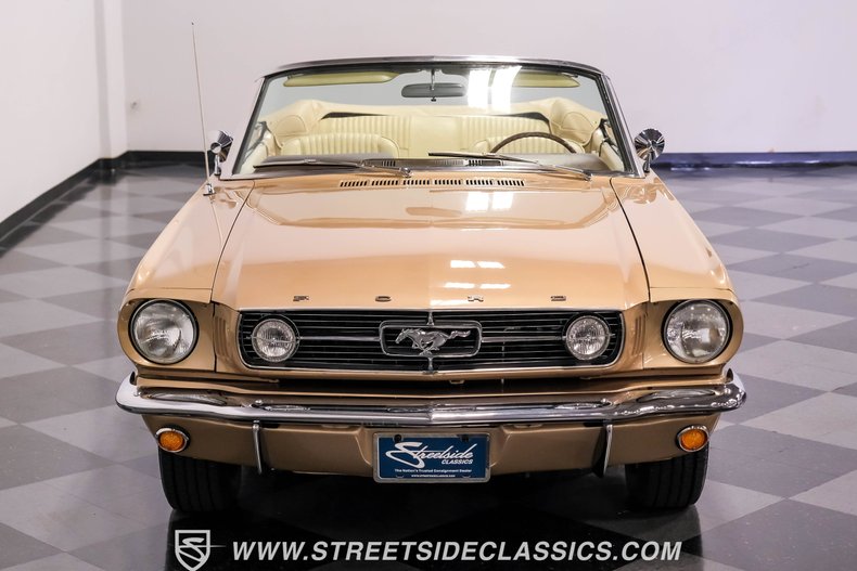 Unknown-Mustang-1966-Antique-Bronze-Palomino-47