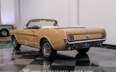 Unknown-Mustang-1966-Antique-Bronze-Palomino-5