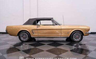 Unknown-Mustang-1966-Antique-Bronze-Palomino-6