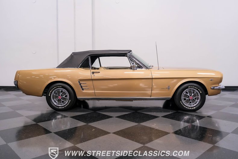 Unknown-Mustang-1966-Antique-Bronze-Palomino-6