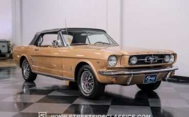 Unknown-Mustang-1966-Antique-Bronze-Palomino-7
