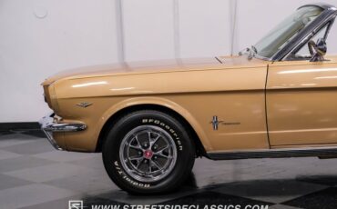 Unknown-Mustang-1966-Antique-Bronze-Palomino-8