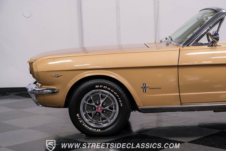 Unknown-Mustang-1966-Antique-Bronze-Palomino-8