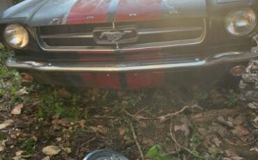 Unknown-Mustang-1966-Black-1