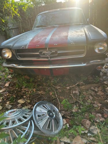 Unknown-Mustang-1966-Black-1