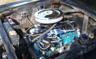 Unknown-Mustang-1966-Black-16