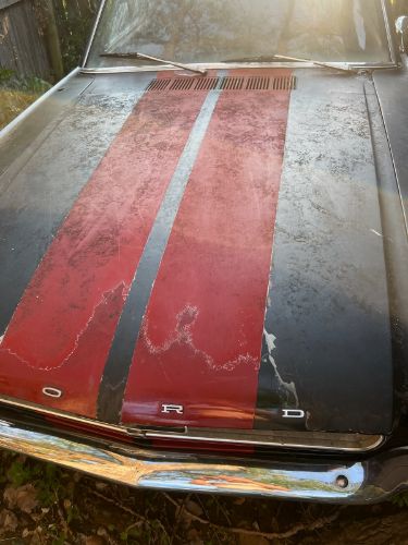 Unknown-Mustang-1966-Black-2