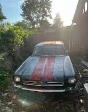 Unknown-Mustang-1966-Black