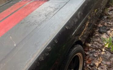 Unknown-Mustang-1966-Black-3