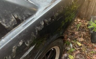 Unknown-Mustang-1966-Black-6