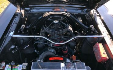 Unknown-Mustang-1966-Black-7