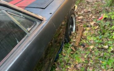 Unknown-Mustang-1966-Black-8