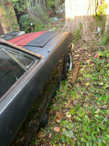 Unknown-Mustang-1966-Black-8