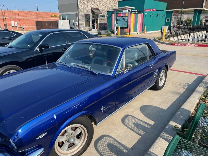 Unknown-Mustang-1966-Blue-10