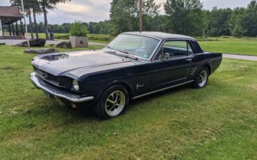 Unknown-Mustang-1966-Blue-11