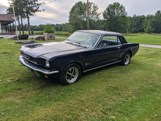 Unknown-Mustang-1966-Blue-11