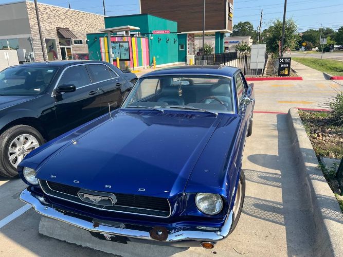 Unknown-Mustang-1966-Blue-12