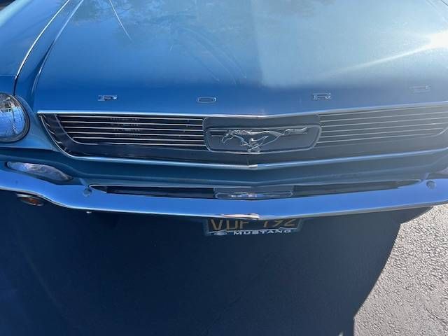 Unknown-Mustang-1966-Blue-13