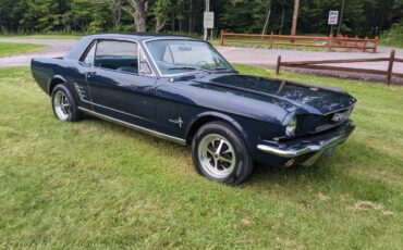 Unknown-Mustang-1966-Blue