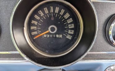 Unknown-Mustang-1966-Blue-6