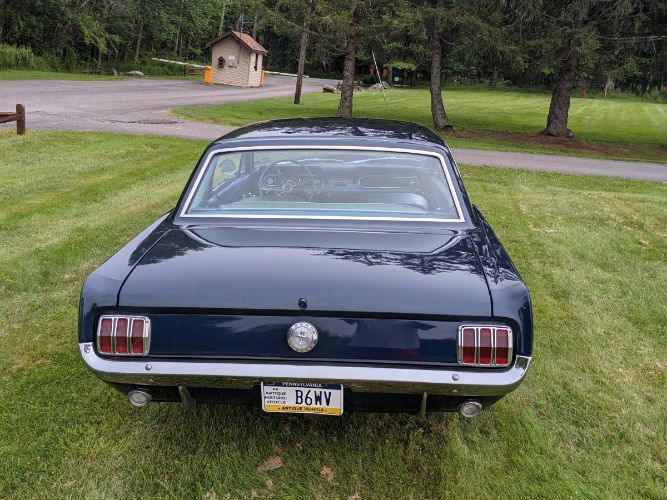 Unknown-Mustang-1966-Blue-8