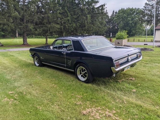Unknown-Mustang-1966-Blue-9