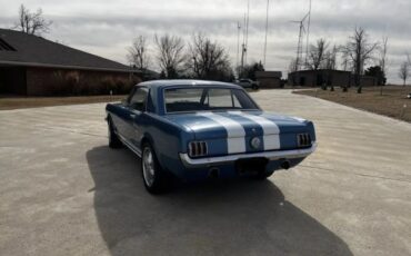 Unknown-Mustang-1966-Blue-Black-2